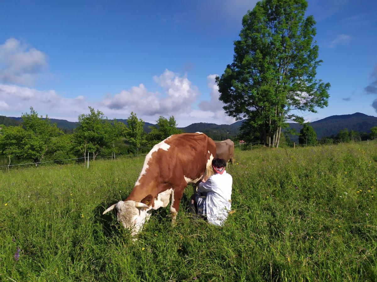 Вилла Tourist Farm Strle With Great Local Food Церкница Экстерьер фото