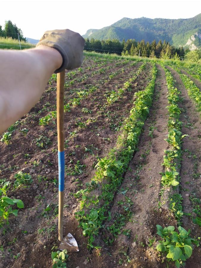 Вилла Tourist Farm Strle With Great Local Food Церкница Экстерьер фото