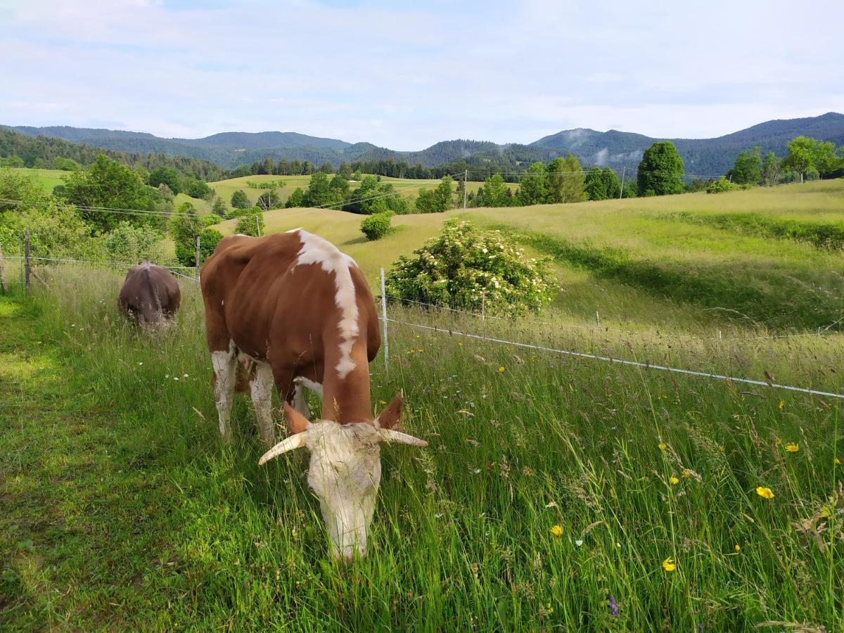 Вилла Tourist Farm Strle With Great Local Food Церкница Экстерьер фото