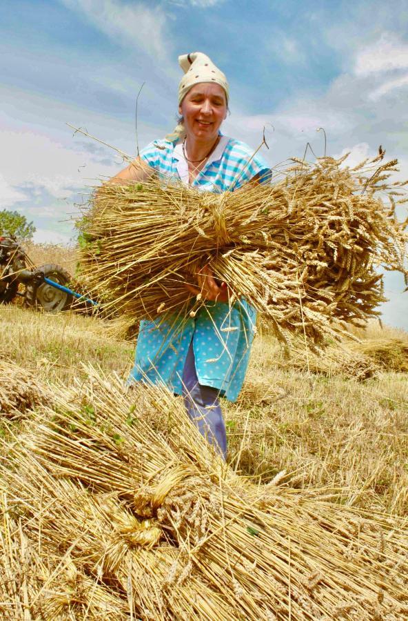 Вилла Tourist Farm Strle With Great Local Food Церкница Экстерьер фото