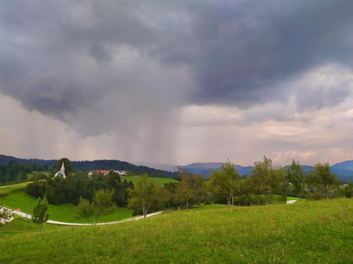 Вилла Tourist Farm Strle With Great Local Food Церкница Экстерьер фото