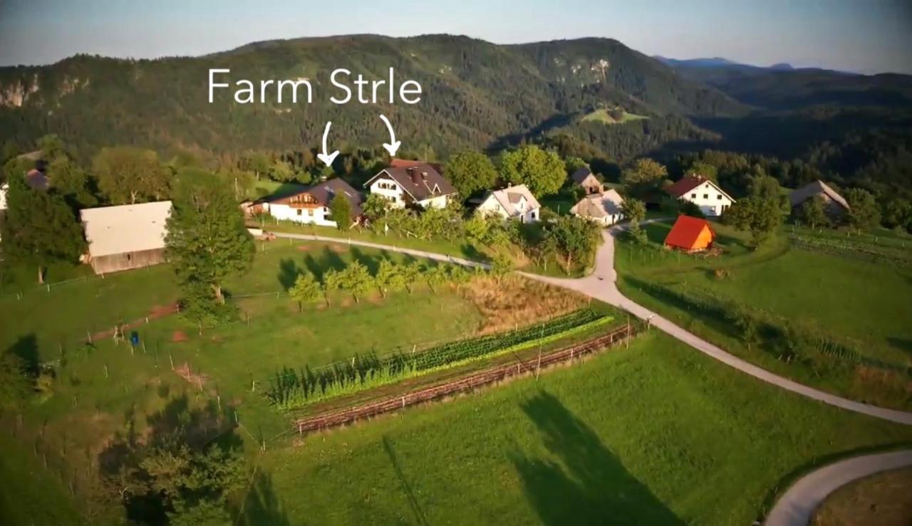 Вилла Tourist Farm Strle With Great Local Food Церкница Экстерьер фото