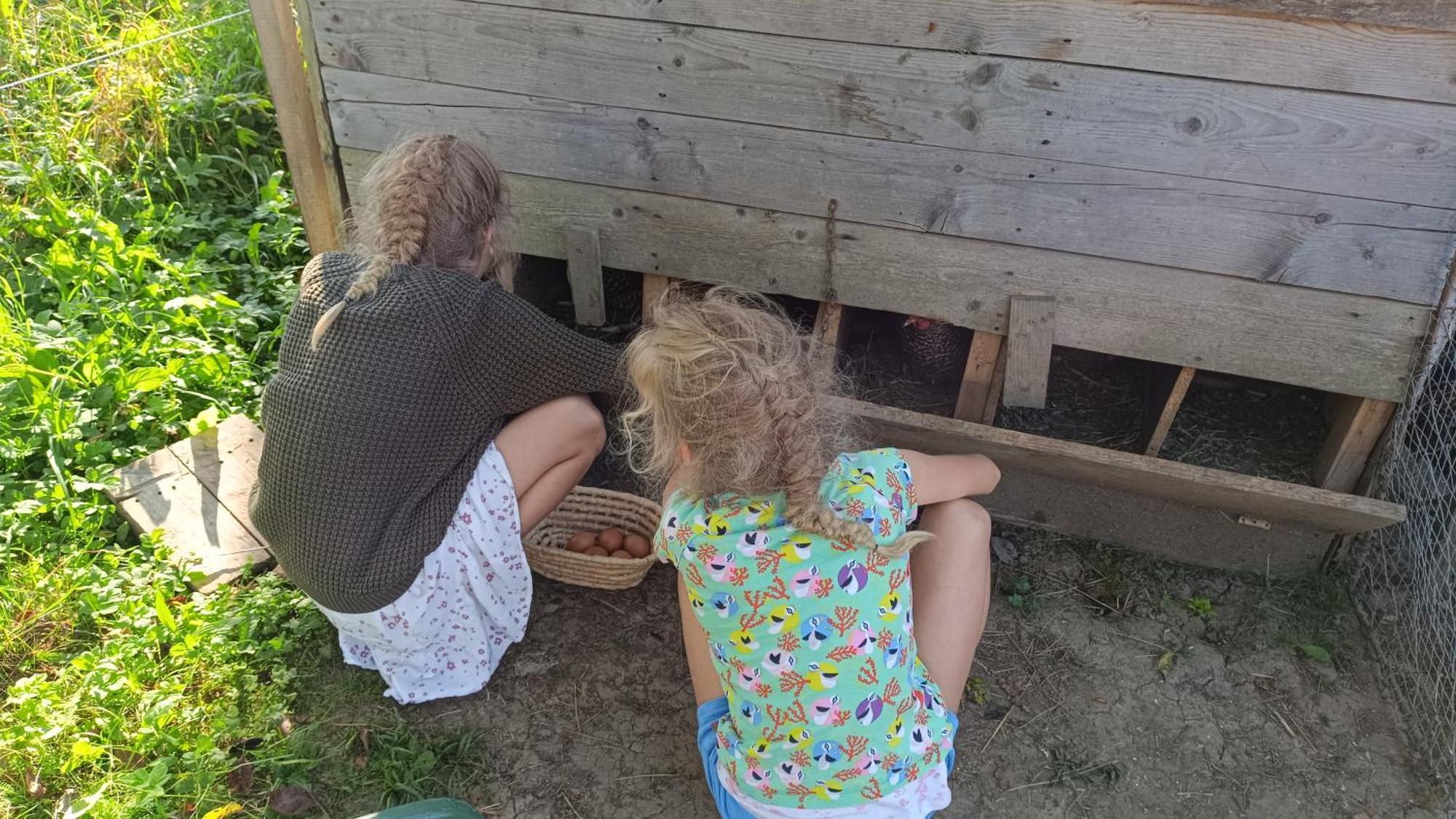 Вилла Tourist Farm Strle With Great Local Food Церкница Экстерьер фото