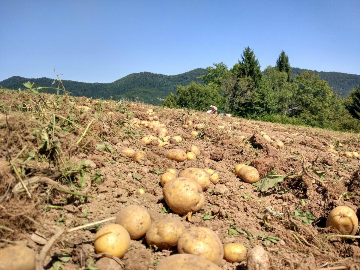 Вилла Tourist Farm Strle With Great Local Food Церкница Экстерьер фото