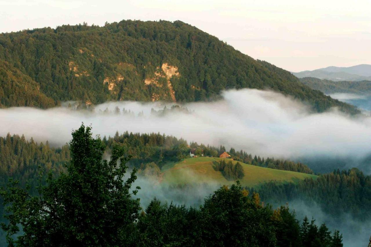 Вилла Tourist Farm Strle With Great Local Food Церкница Экстерьер фото