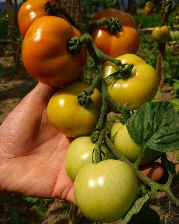 Вилла Tourist Farm Strle With Great Local Food Церкница Экстерьер фото