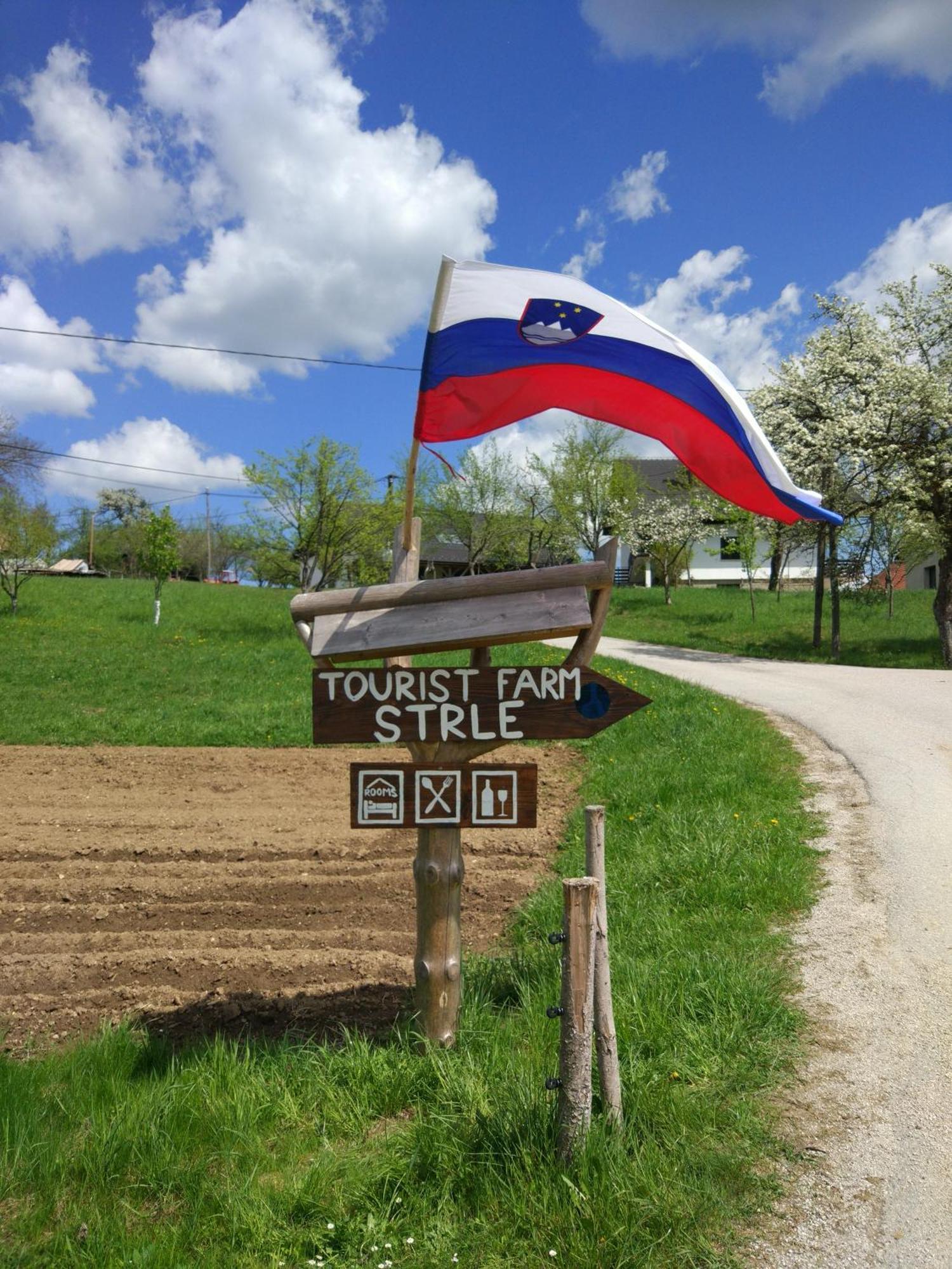 Вилла Tourist Farm Strle With Great Local Food Церкница Экстерьер фото